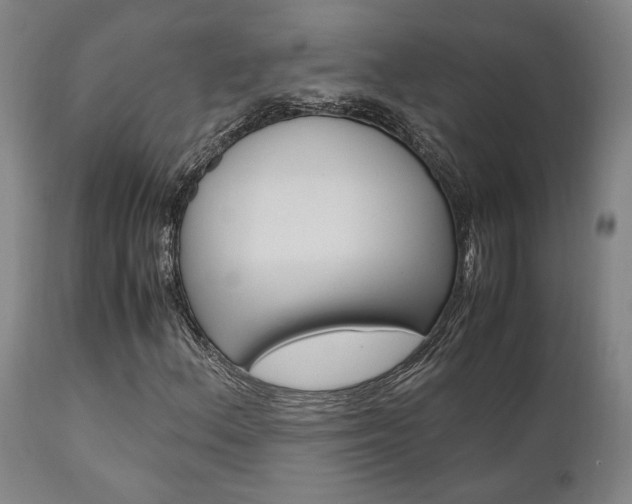 X0000111011156200906191201