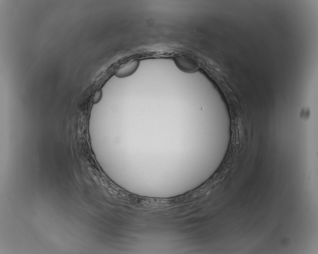 X0000111011158200906191201