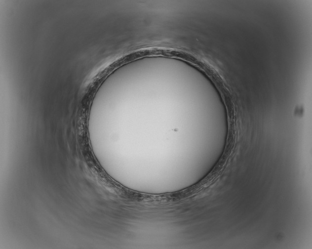 X0000111011159200906191201