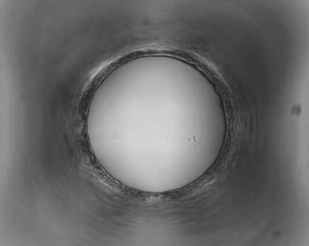 X0000111011160200906191201