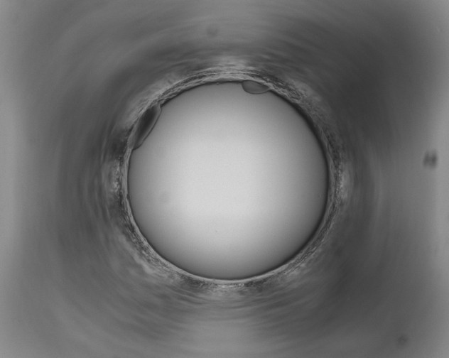 X0000111011161200906191201