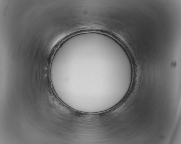 X0000111011163200906191201