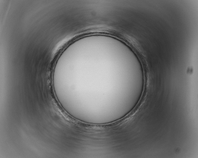 X0000111011164200906191201