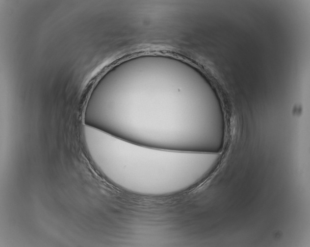 X0000111011165200906191201