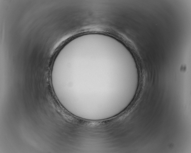 X0000111011166200906191201