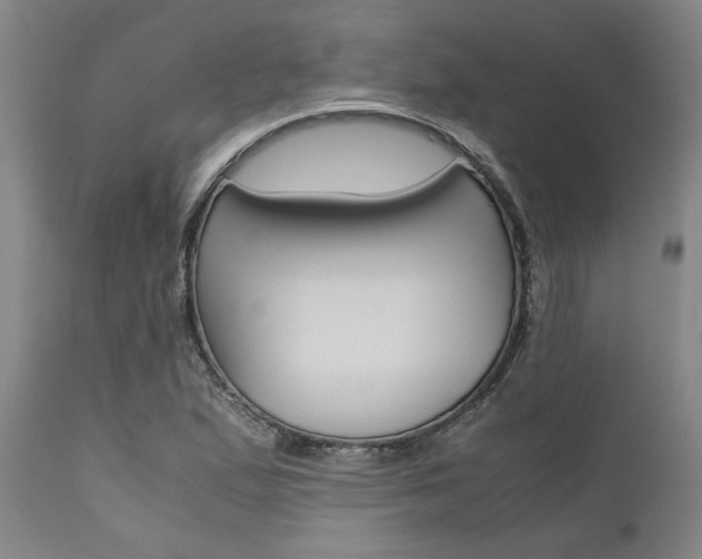 X0000111011167200906191201