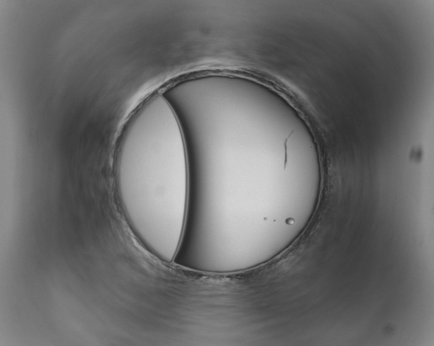 X0000111011168200906191201