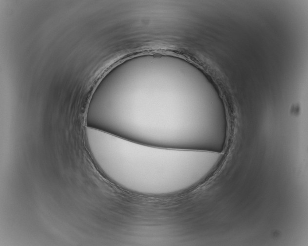 X0000111011169200906191201