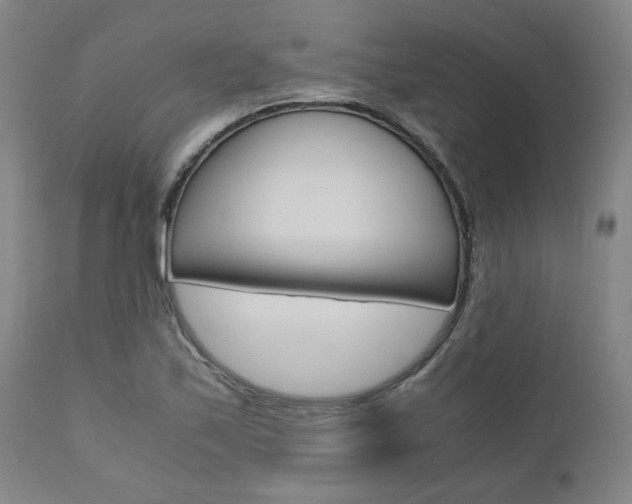 X0000111011171200906191201