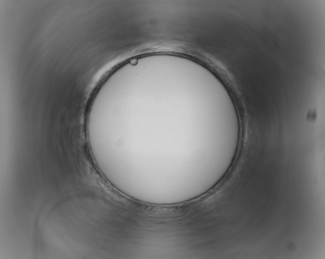 X0000111011174200906191201