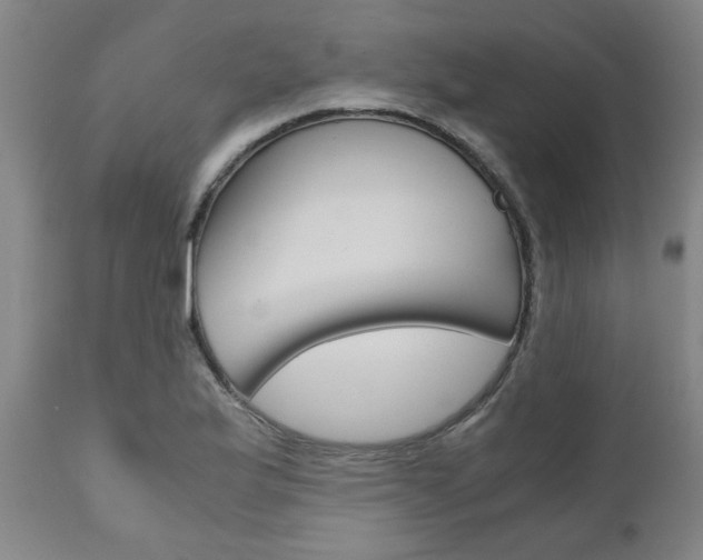 X0000111011175200906191201