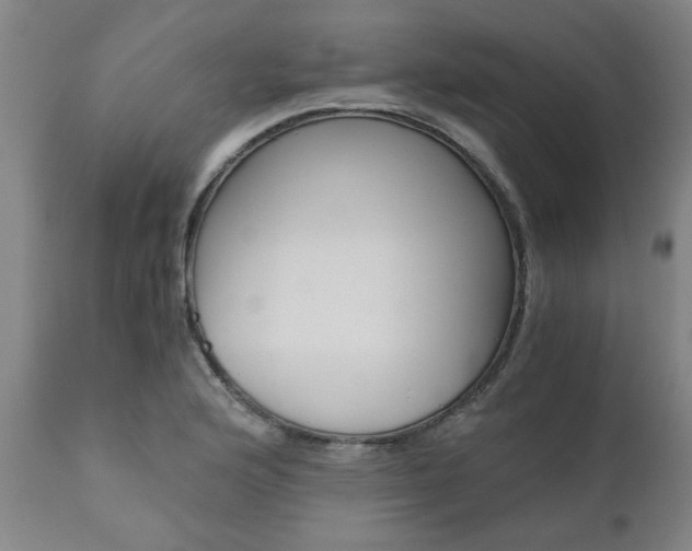X0000111011176200906191201