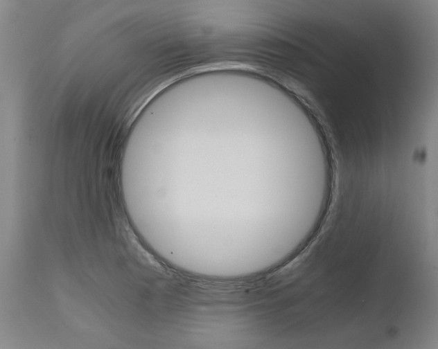 X0000111011177200906191201