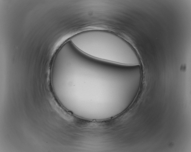 X0000111011179200906191201
