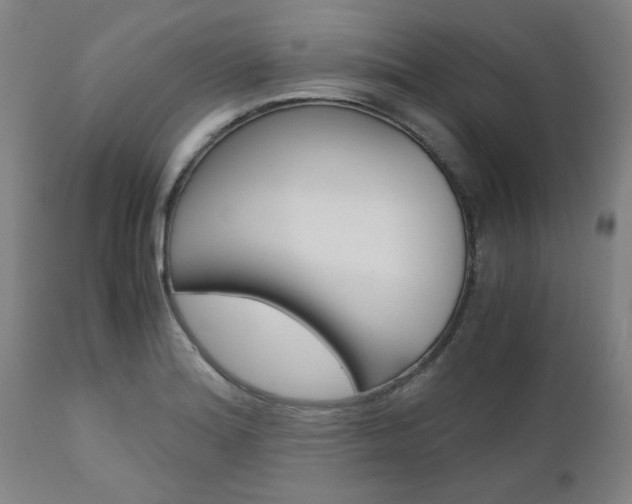 X0000111011180200906191201