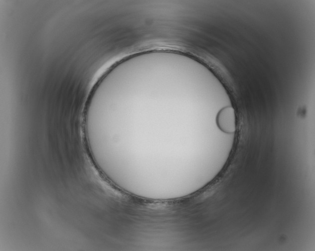 X0000111011182200906191201