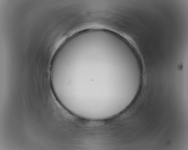 X0000111011183200906191201