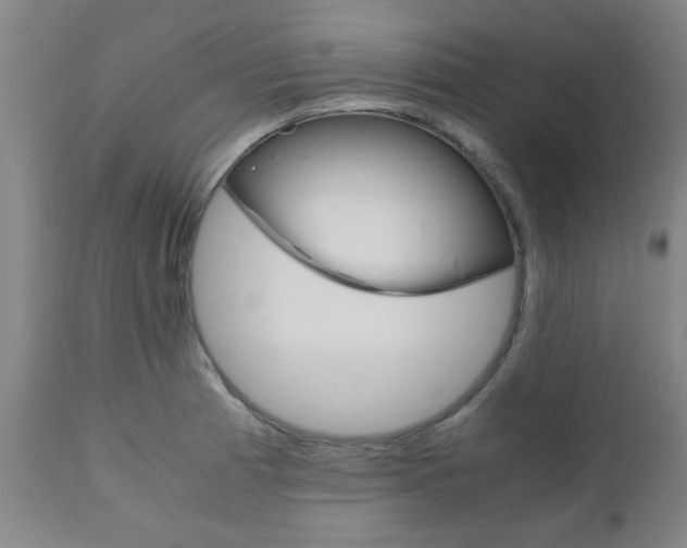 X0000111011185200906191200