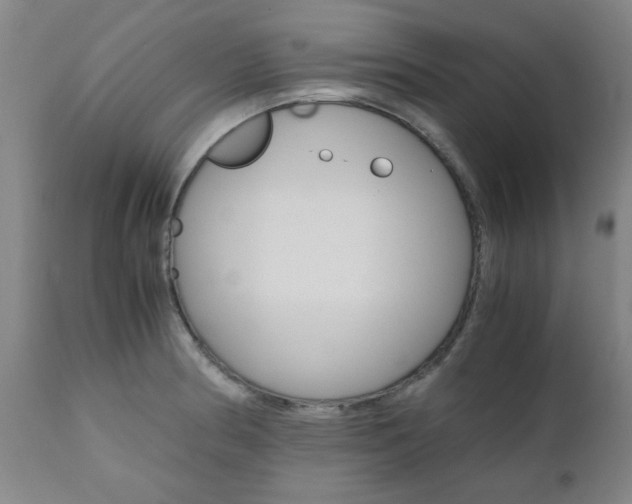 X0000111011186200906191200