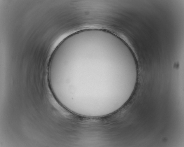 X0000111011187200906191200