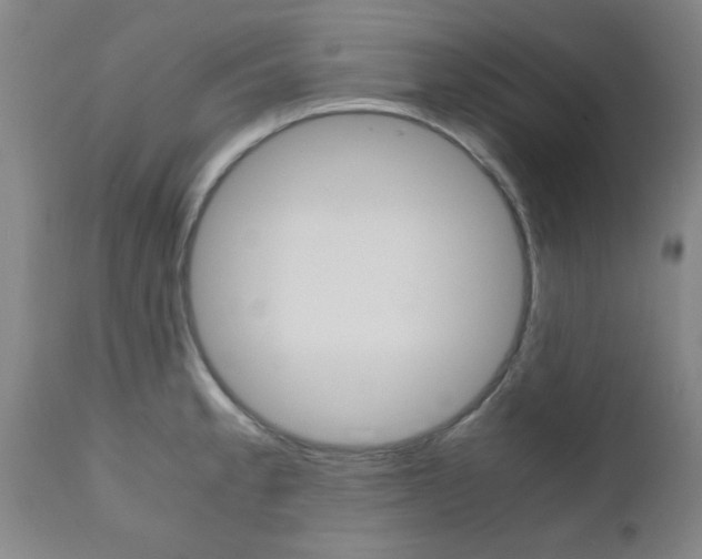 X0000111011189200906191200