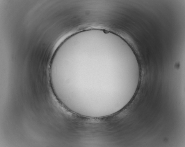X0000111011190200906191200