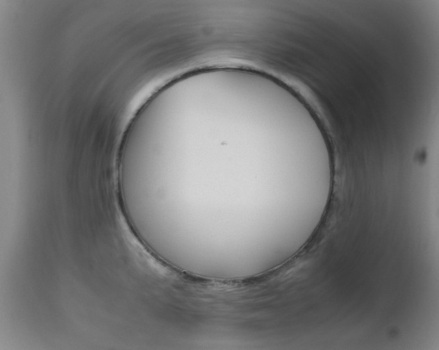 X0000111011191200906191200