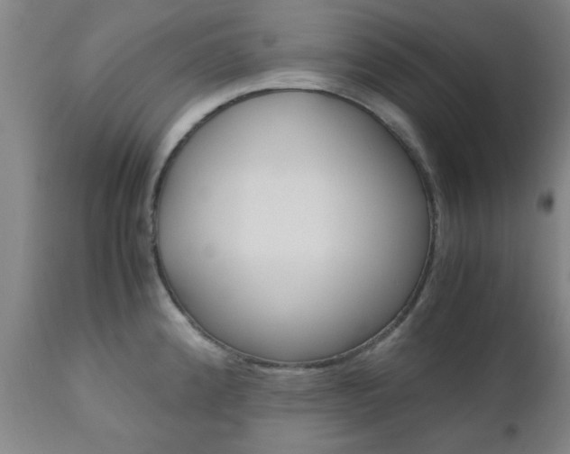 X0000111011192200906191200
