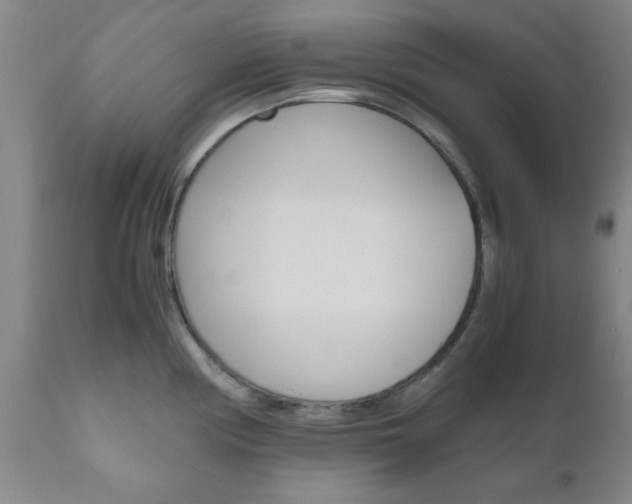 X0000111011194200906191200