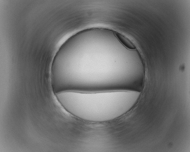 X0000111011199200906191200