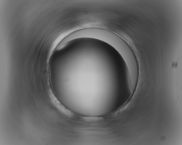 X0000111011200200906191200