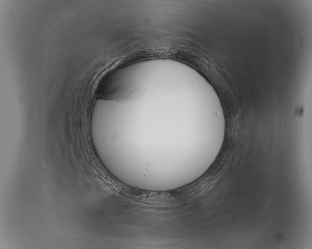 X0000111011201200906191159