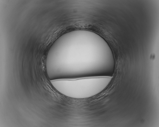 X0000111011202200906191159