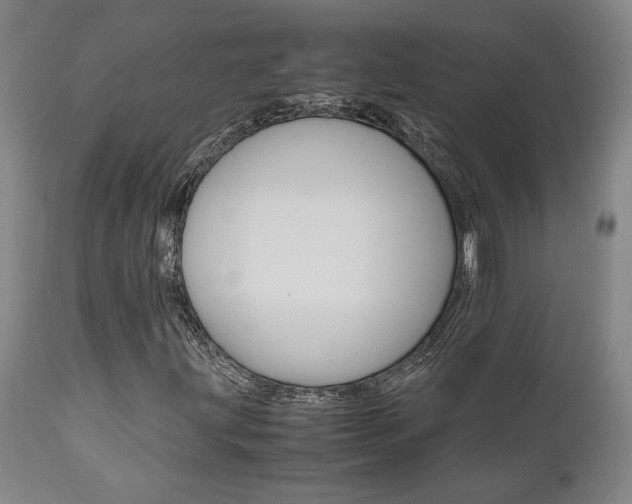 X0000111011203200906191159