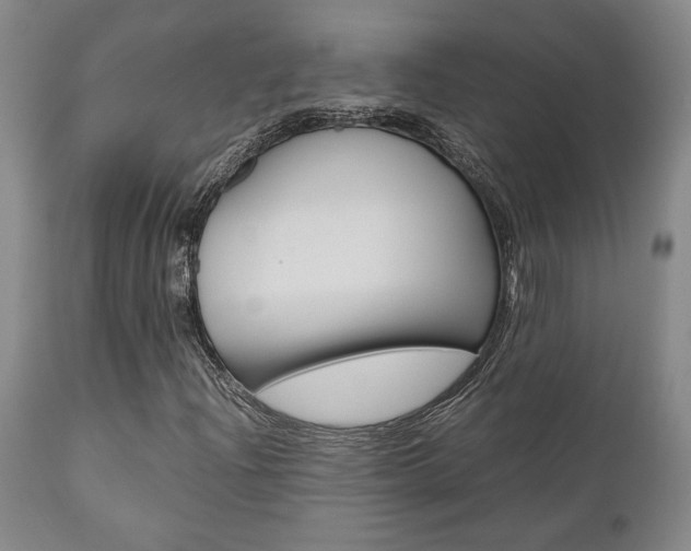 X0000111011204200906191159