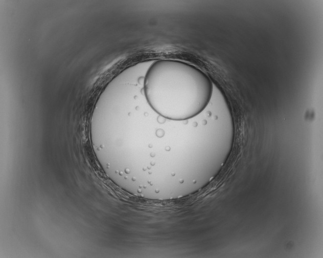 X0000111011205200906191159