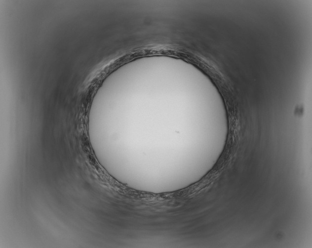 X0000111011207200906191159