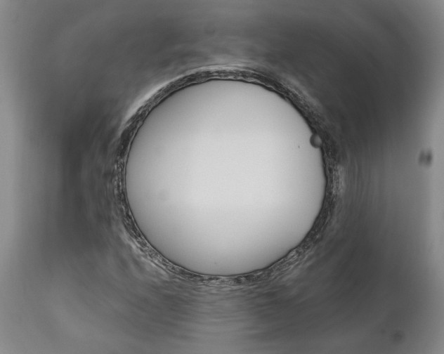 X0000111011208200906191159