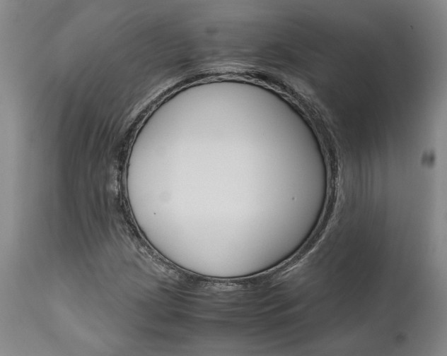 X0000111011209200906191159