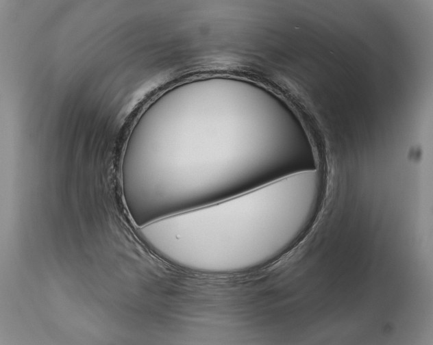 X0000111011210200906191159