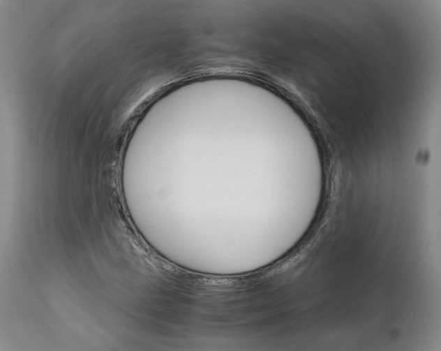 X0000111011211200906191159