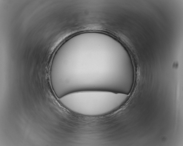 X0000111011212200906191159