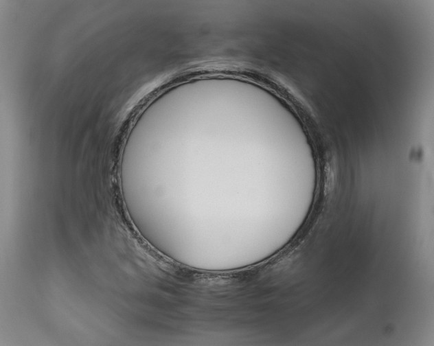 X0000111011213200906191159