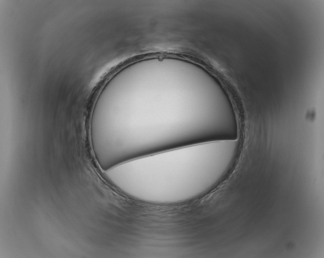 X0000111011214200906191159