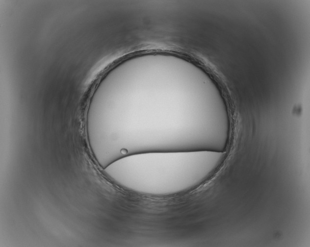 X0000111011215200906191159
