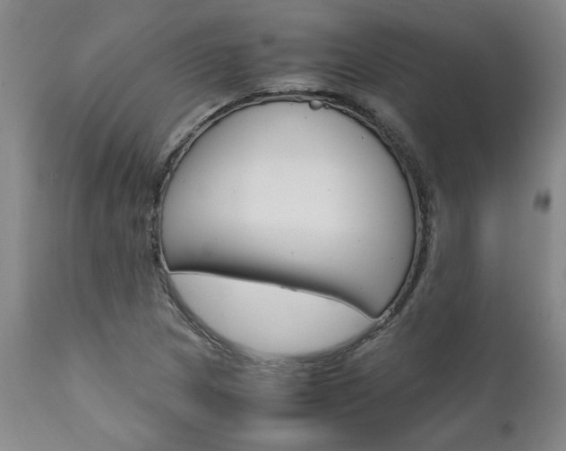 X0000111011217200906191159