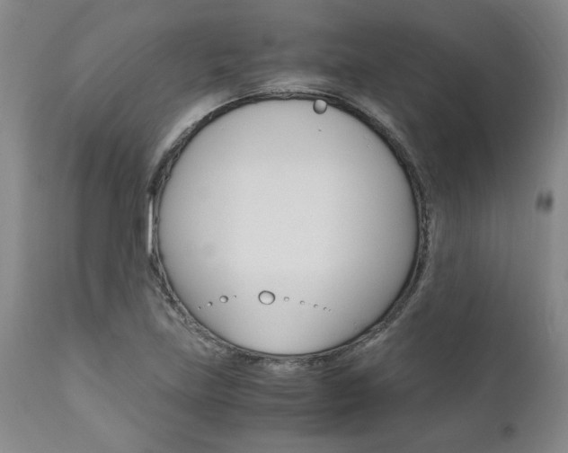 X0000111011219200906191159