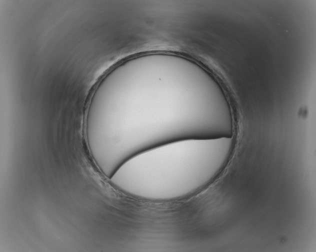 X0000111011220200906191159