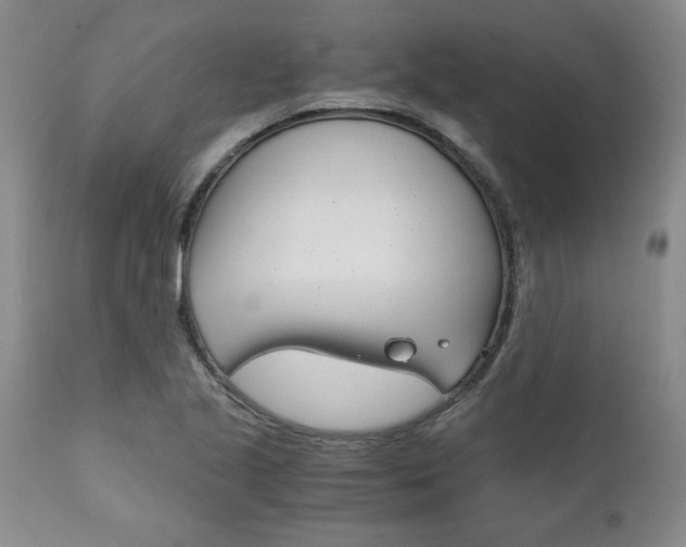 X0000111011221200906191159