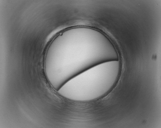 X0000111011222200906191159